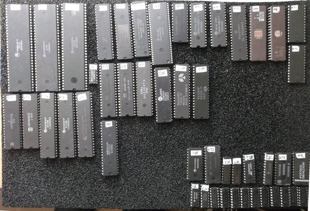 marqués a jamais du sceau de l'infamie